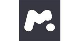 What Is Mspy Lite