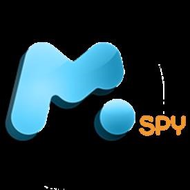 Does Mspy Work on Laptops